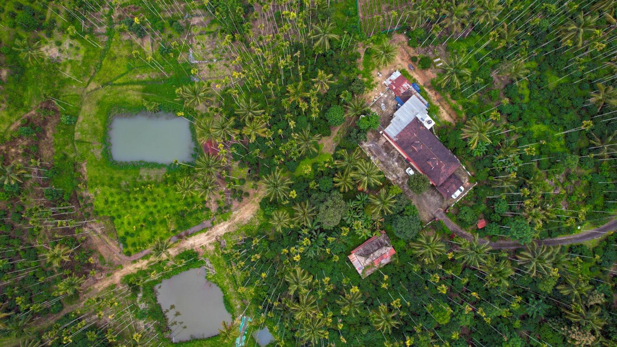 술탄 바테리 Wayanad Palm Grove Retreat G Floor 아파트 외부 사진