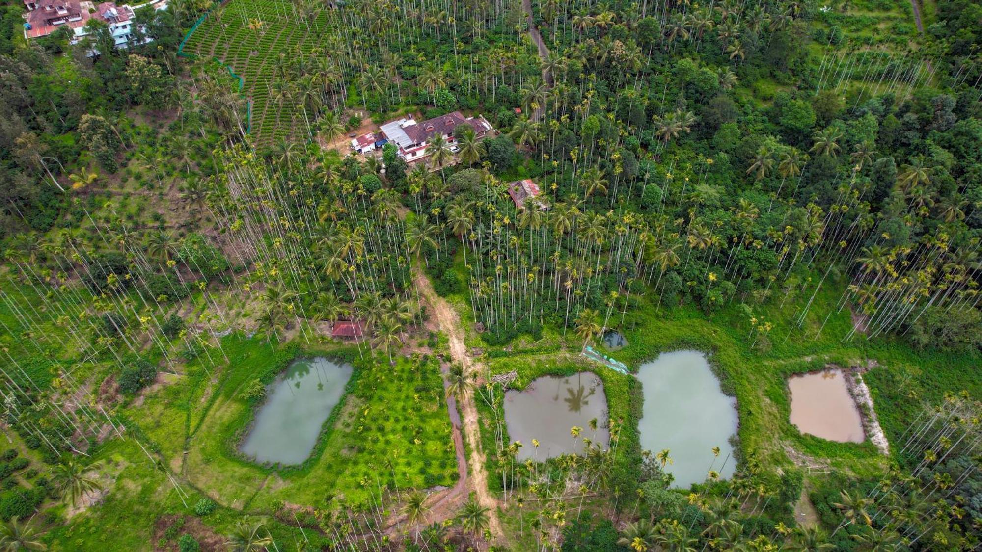 술탄 바테리 Wayanad Palm Grove Retreat G Floor 아파트 외부 사진