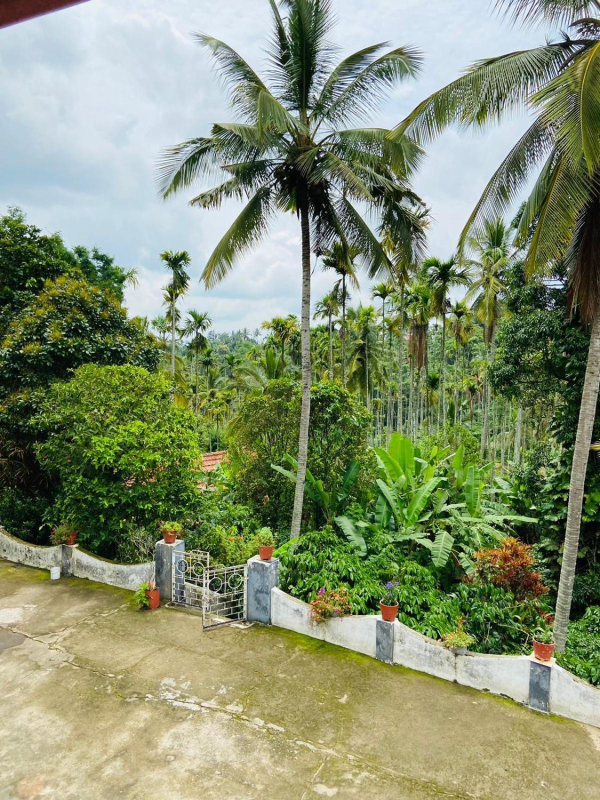 술탄 바테리 Wayanad Palm Grove Retreat G Floor 아파트 외부 사진